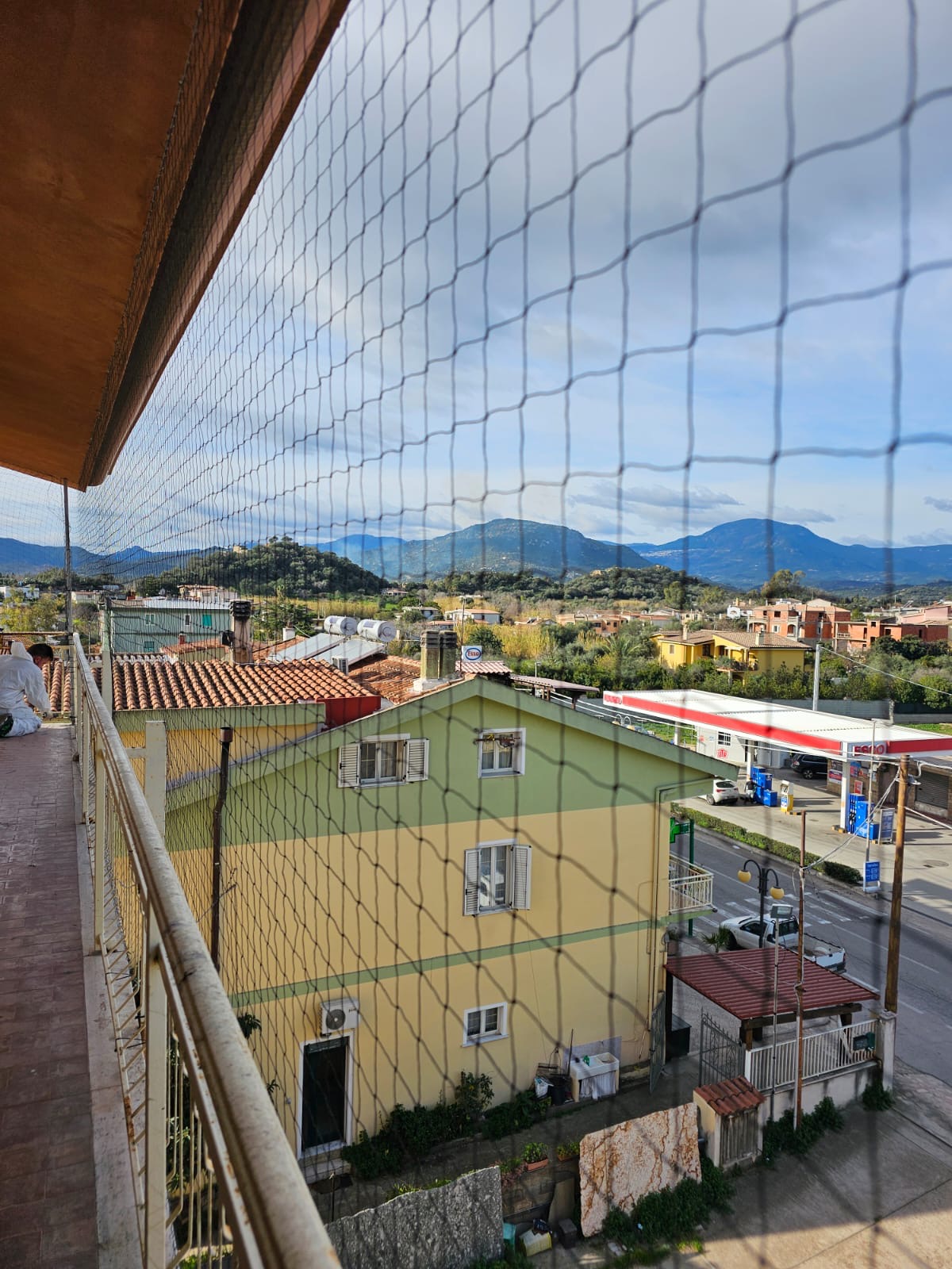 allontanamento volatili nuoro