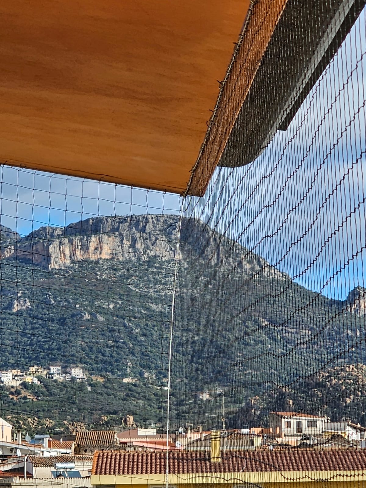 allontanamento volatili nuoro